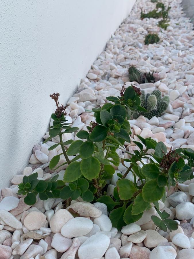 Torreira Vacation Homes - Sea House Bagian luar foto