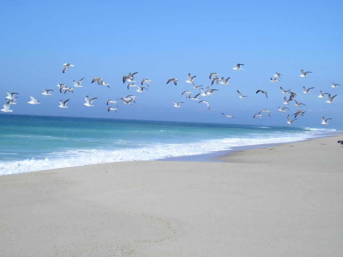 Torreira Vacation Homes - Sea House Bagian luar foto
